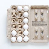 shutterstock_2265681939